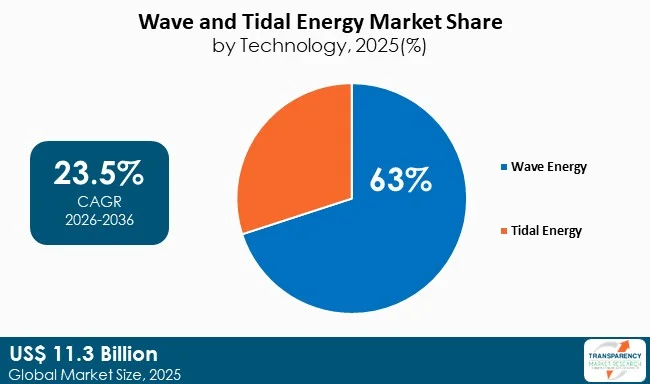 Wave And Tidal Energy Market By Type Wave And Tidal Energy Market By Type