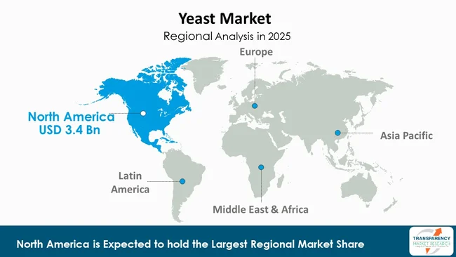 Yeast Market By Region