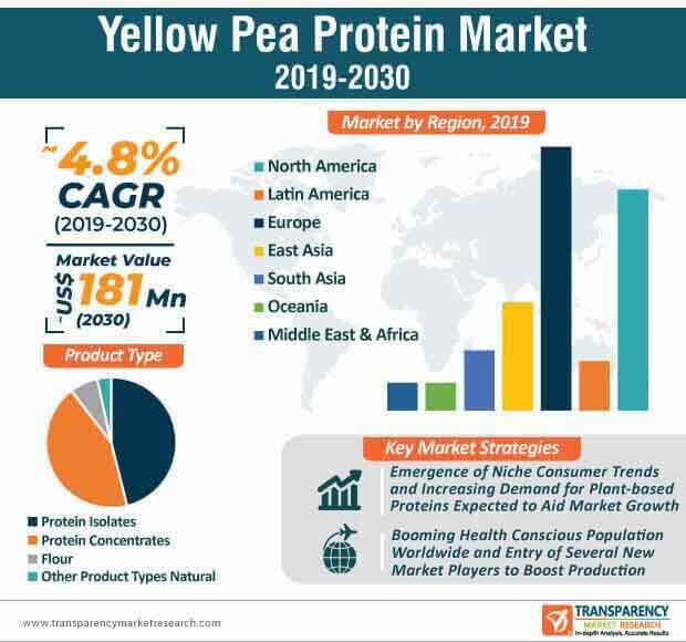 yellow pea protein market infographic